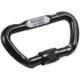 Mammut Lock D Carabiner
