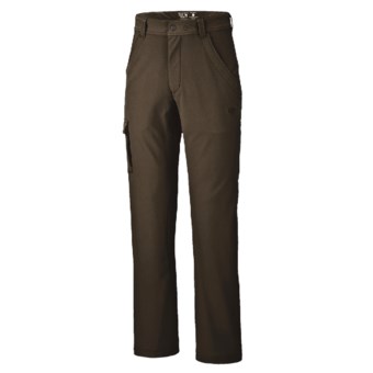 Mountain Hardwear Winter Wander Cargo Pants (For Men) in Otter