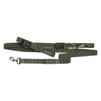 Mountainsmith K-9 Collar and Leash - Medium/Large, Recycled Materials in Pinon Green