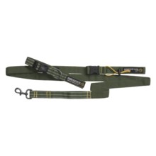 Mountainsmith K-9 Collar and Leash - Small/Medium, Recycled Materials in Pinon Green - Closeouts
