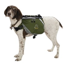 OllyDog Dog Pack - Large in Forest - Overstock