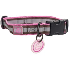 Ollydog Night Life Reflective Dog Collar in Hot Pink/Chocolate - Closeouts