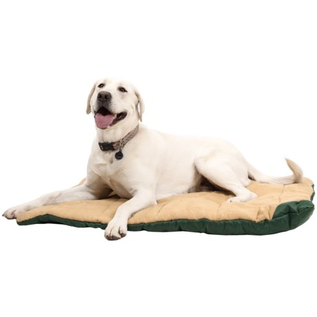 OllyDog Travel Bed - Large, 40x30?