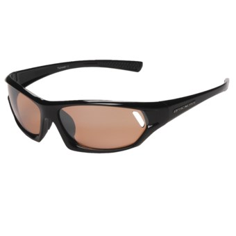 Optic Nerve Eyeque 39 Sunglasses in Black/Brown