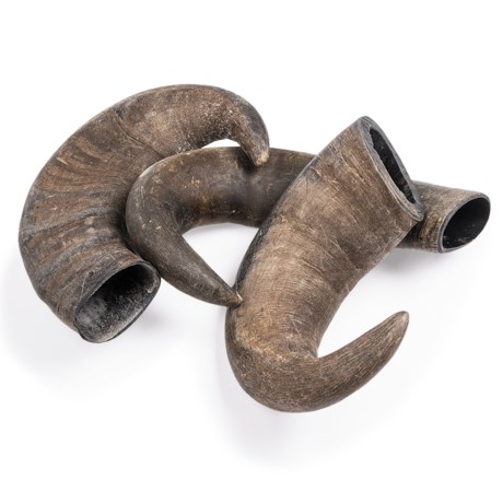 Outback Jack Large Bully Horn Chews 3 Pack