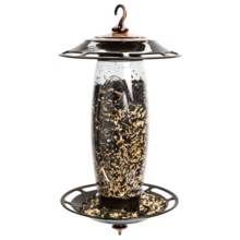 Perky Pet Sip or Seed Bird Feeder in Rustic Copper - Closeouts