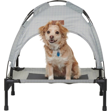 Coleman Pet Cot with Canopy - Small - GRAY ( )