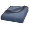 Vista Blue Picnic Time Outdoor Picnic Blanket - Fleece