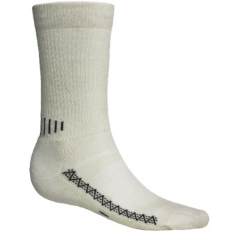 Point6 Active Socks - Merino Wool, Crew (For Men and Women) in Natural