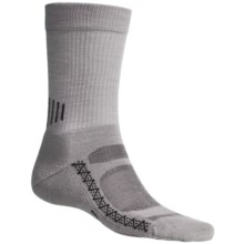 Point6 Active Socks - Merino Wool, Crew (For Men and Women) in Silver - 2nds
