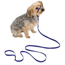Premier Pet Eco Gentle Leader - Small in Deep Sea Blue - Closeouts
