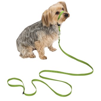 Premier Pet Eco Gentle Leader - Small in Fern Green