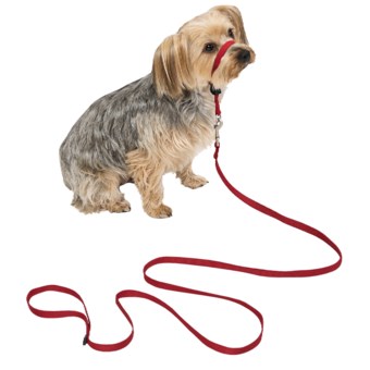 Premier Pet Eco Gentle Leader - Small in Sedona Red