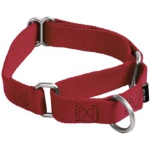 Premier Pet Premier Eco Dog Collar - Small in Sedona Red - Closeouts