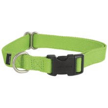 Premier Pet Quick-Snap Eco Dog Collar - Medium, Recycled Materials in Fern Green - Closeouts