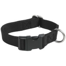 Premier Pet Quick-Snap Eco Dog Collar - Small in Cosmic Black - Closeouts