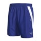 Puma Baggy Shorts (For Men)