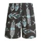 Quiksilver Petrofish Volley Shorts (For Men)