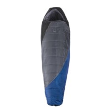 Sierra Designs 20°F Wild Bill Sleeping Bag - Synthetic, Mummy in Grey/Blue/Black - Closeouts