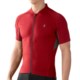 SmartWool Flagstaff Cycling Jersey - Merino Wool, Short Sleeve (For Men)