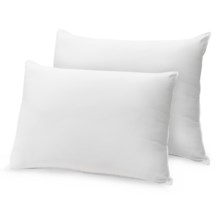 Soft-Tex Cotton Feather-Down Pillows - Queen, Set of 2 in White - Closeouts