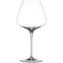 Spiegelau Hybrid Burgundy Glasses - Set of 2 in Clear - Closeouts