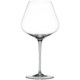 Spiegelau Hybrid Burgundy Glasses - Set of 2