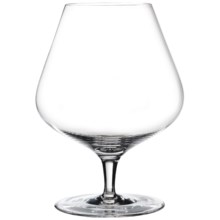 Spiegelau Hybrid Cognac Glasses - Set of 2 in Clear - Closeouts