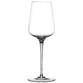 Spiegelau Hybrid White Wine Glasses - Set of 2 in Clear