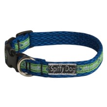 Spiffy Dog Air Dog Collar in Beaver Creek - Closeouts