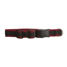 Spiffy Dog Air Dog Collar in Cranberry/Black - Closeouts