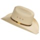 Stetson Kissimmee Cowboy Hat - Straw (For Men and Women)
