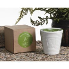 Tag Fresh Herb Scented Candle in Arugula - Closeouts