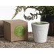 Tag Fresh Herb Scented Candle