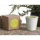 Tag Fresh Herb Scented Candle