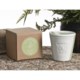 Tag Fresh Herb Scented Candle
