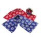 Tag Starburst Dish Towels - Set of 2