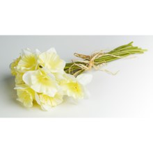 Tag Stem Daffodil Bouquet - 12 in Pale Yellow - Closeouts