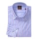Tailorbyrd Striped Sport Shirt - Long Sleeve (For Men)