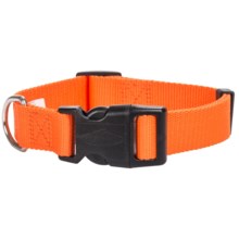 Team Realtree 3/4” Adjustable Dog Collar - 14-20” in Blaze Orange - Closeouts
