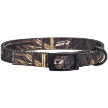 Team Realtree 3/4” Adjustable Dog Collar - 18” in Max4 - Closeouts