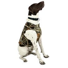 Team Realtree Dog Chest Protector in Max4 - Closeouts