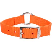 Team Realtree O-Ring Dog Collar in Blaze Orange - Closeouts
