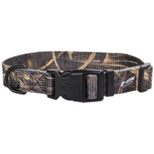 Team Realtree Quick-Snap Camo Dog Collar in Max4 - Closeouts