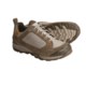 Tecnica Desert Low Trail Shoes (For Men)