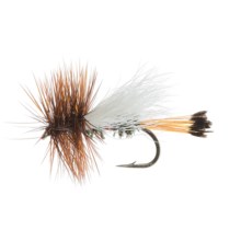 Trude Royal Coachman Dry Fly - Dozen in Natural - Closeouts