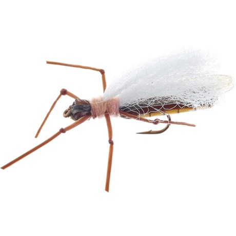 Montana Fly Company True Golden Stone Dry Fly - Dozen - WINGED (8 )