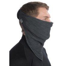 Turtle Fur Stria Necky Bandana Neckwarmer - Polartec® Thermal Pro® Fleece (For Men and Women) in Carbon - Closeouts