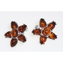 Vessel Star-Shaped Honey Amber Earrings (For Women) in Amber/Sterling Silver - Closeouts