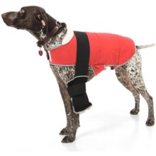 Warm Whiskers Pet Therapy Jacket with Gel Packs - Large in Black/Red - Closeouts